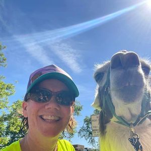 Meet your Posher, Julie